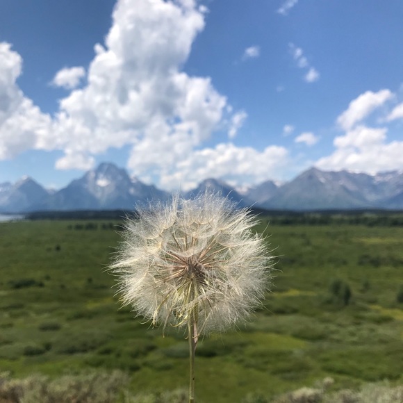 Meet your Posher, Gary - Picture 1 of 1